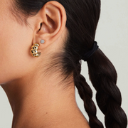 Bubble Dome Hoops
