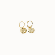 Ripple Disc Hoops