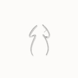 Sleek Wave Earrings