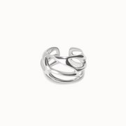 Frost Web  Ring